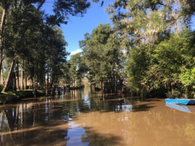 Best of Delta Buenos Aires Private Boat Tour: Enjoy More - Nuñez pickup and how private timing changes everything