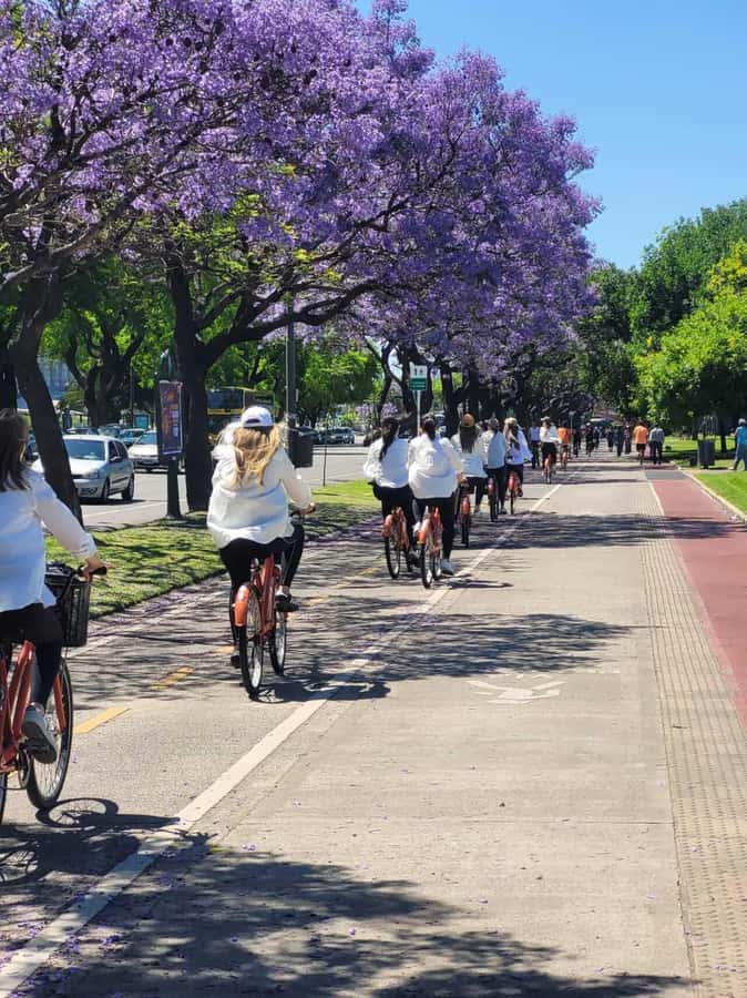 Bike Tour: Buenos Aires to the North - Price, pace, and the snack reality