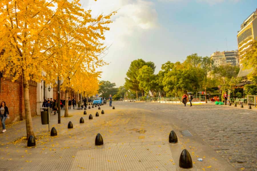 Buenos Aires: City Tour Porteno with Wine Tasting - Key points that make this tour worth your time