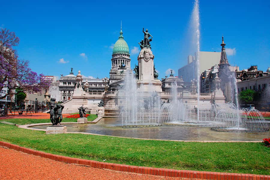 Buenos Aires City Tour with Luxury Lunch - La Boca and Caminito: color on cue, photos with quick focus