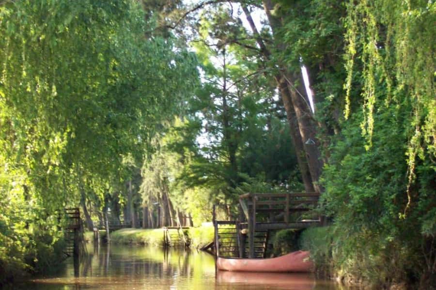 Buenos Aires: Classic Private Delta Tigre Boat Tour - Price and value: what you’re really paying for at $109
