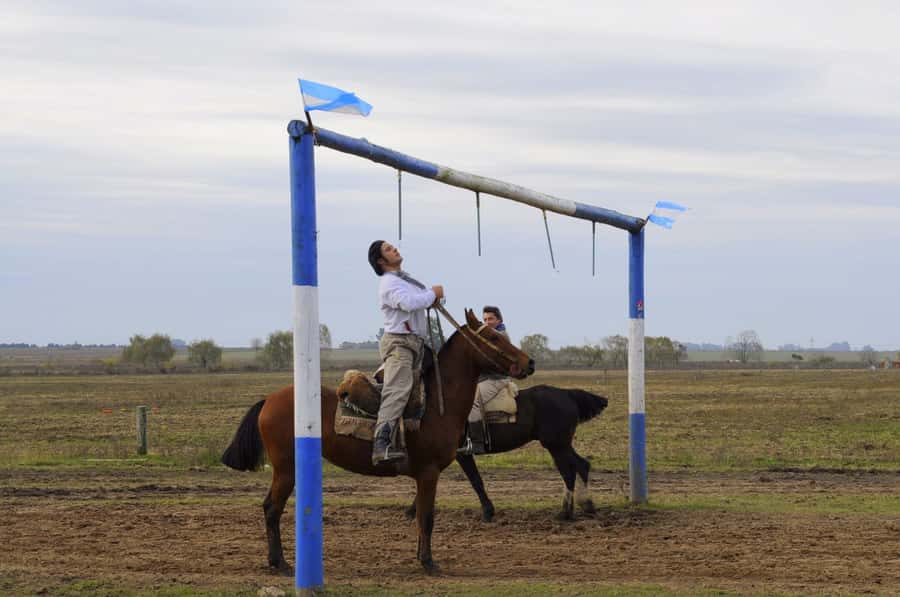 Buenos Aires: Don Silvano Ranch Gaucho Day Trip - Key Things You’ll Notice