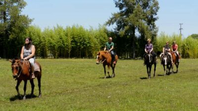 Buenos Aires: Don Silvano Ranch Gaucho Day Trip - The 8-Hour Pampas Drive: Getting Out of the City Fast