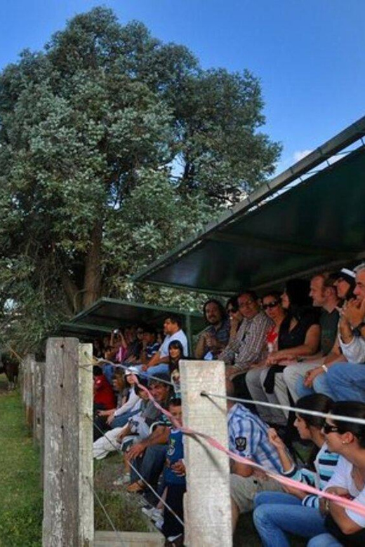 Buenos Aires: Don Silvano Ranch Gaucho Day Trip - Horseback Riding and the Countryside Loop