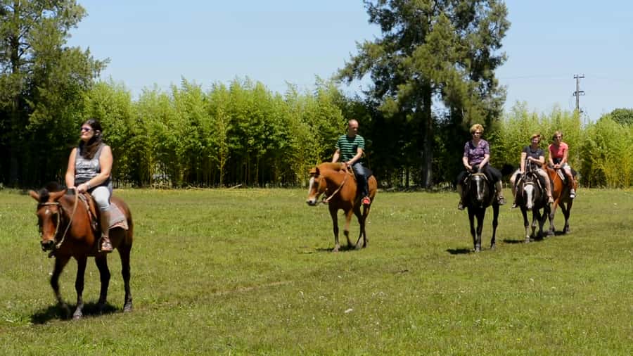 Buenos Aires: Don Silvano Ranch Gaucho Day Trip - The 8-Hour Pampas Drive: Getting Out of the City Fast