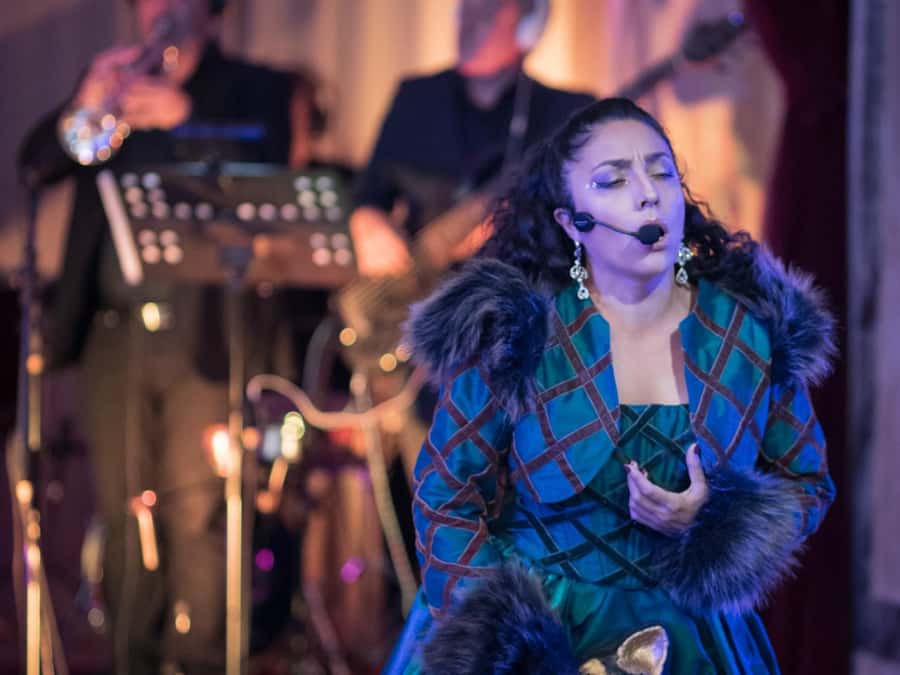 Buenos Aires: Gala Lírica Tickets at Palacio Paz. - Interactivity and audience fit: why first-timers tend to enjoy this