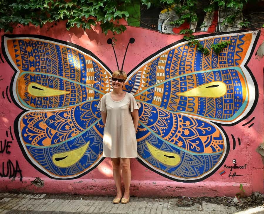 Buenos Aires: Palermo Soho Guided Walking Tour - Price and value: $17 for a structured orientation