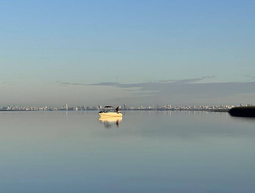 Buenos Aires: Private Delta Boat Tour with Barbecue onboard - Quick planning checklist for a smoother onboard asado day