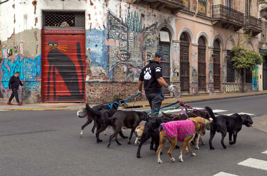 Buenos Aires: Private Photo Tour for Ammateur Photographers - Bernardo Galmarini’s coaching style: what “published photographer” means on the ground