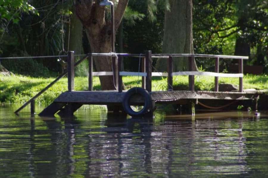 Buenos Aires: Tigre Delta Premium Boat Tour - Rio de la Plata Hour: The Widest River Moment