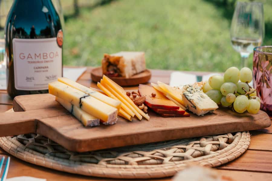 Buenos Aires: Wine Tasting & Lunch at Gamboa Vineyard - Key points worth knowing