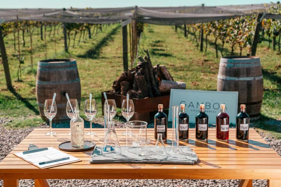 Buenos Aires: Wine Tasting & Lunch at Gamboa Vineyard - Why Bodega Gamboa feels different within a day trip