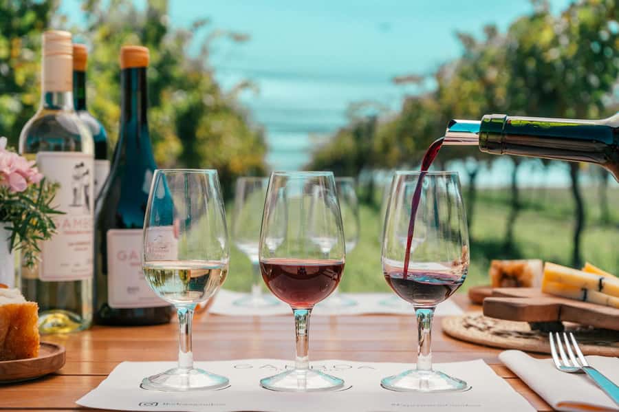 Buenos Aires: Wine Tasting & Lunch at Gamboa Vineyard - Welcome drink and the vineyard tour: how the tasting becomes part of the story