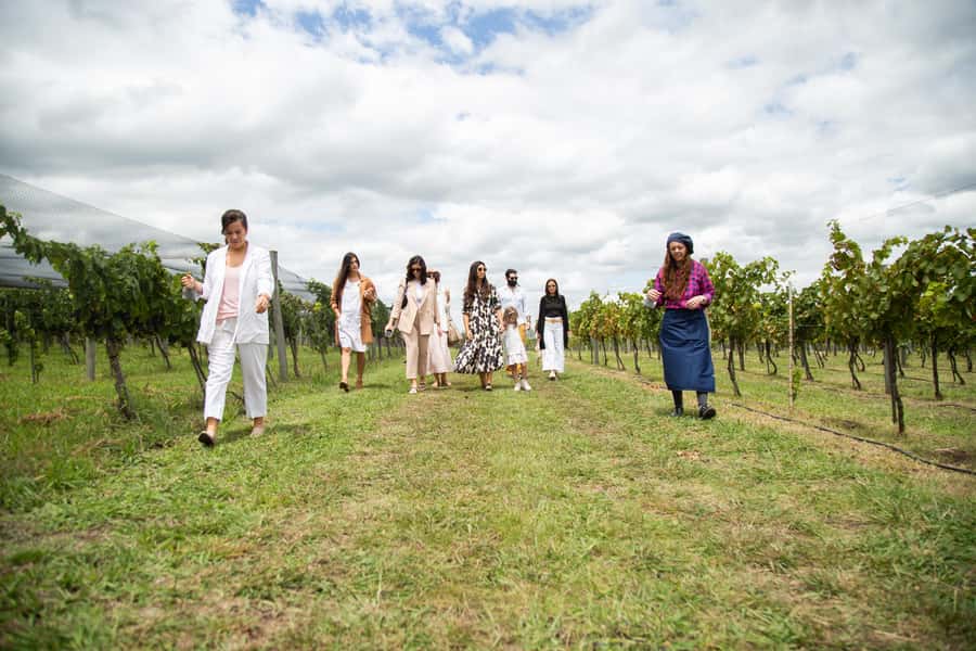 Buenos Aires: Wine Tasting & Lunch at Gamboa Vineyard - Should you book this Buenos Aires wine day trip?