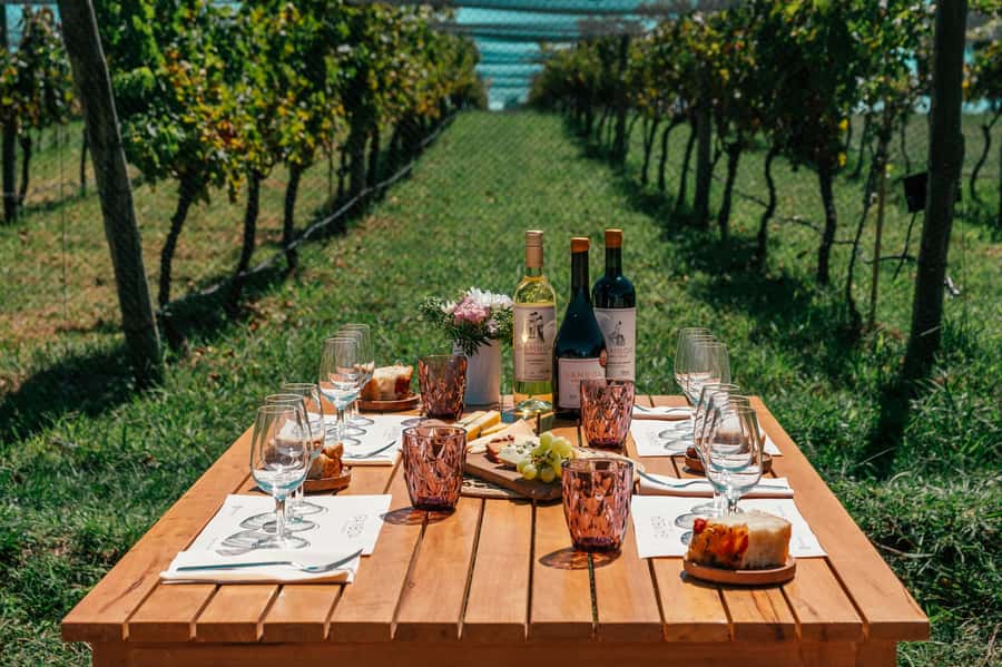 Buenos Aires: Wine Tasting & Lunch at Gamboa Vineyard - Getting from Buenos Aires: transfers that make the day painless