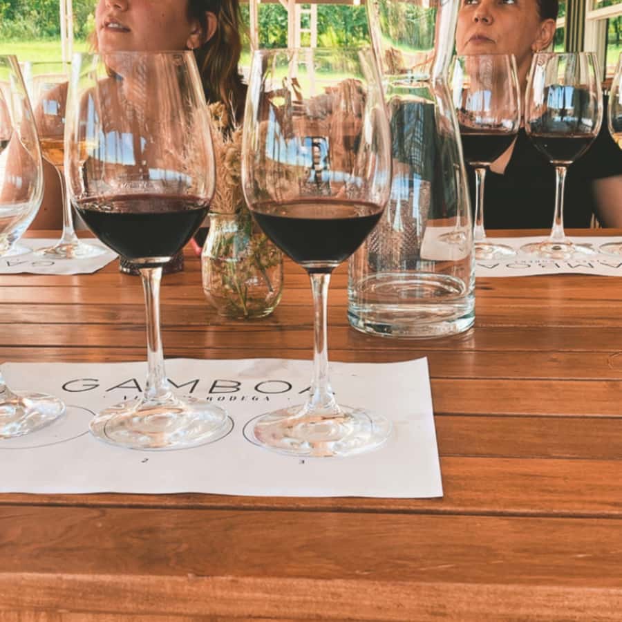 Enjoy a Rural Experience in a Vineyard near Buenos Aires - Price and value: why $264 can work (or not)