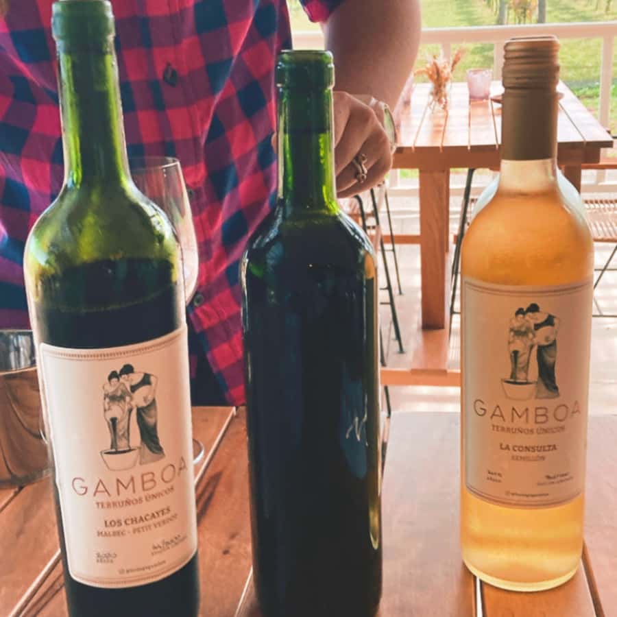 Enjoy a Rural Experience in a Vineyard near Buenos Aires - A 6-hour vineyard escape from Buenos Aires that feels genuinely rural