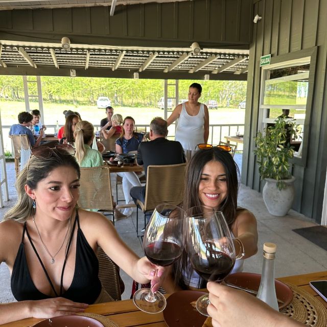 Enjoy a Rural Experience in a Vineyard near Buenos Aires - What you’ll taste: Malbec, Pinot Noir, and Cabernet Franc