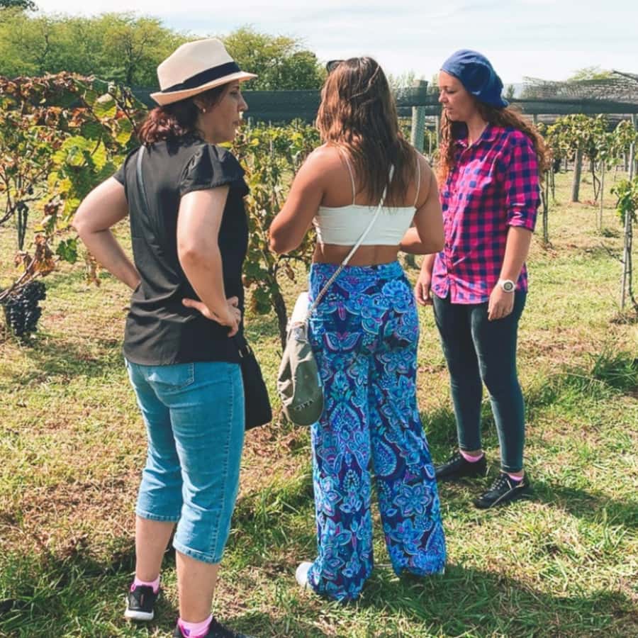 Enjoy a Rural Experience in a Vineyard near Buenos Aires - Pairing wine and food on the vineyard tour: the secret sauce