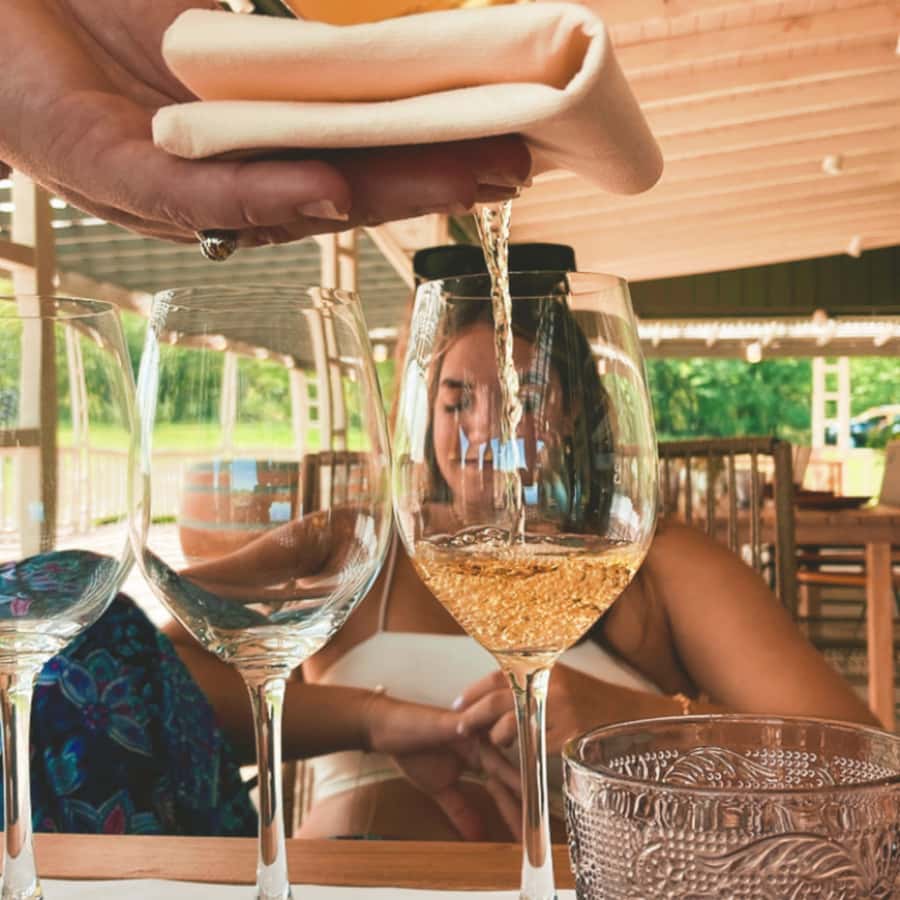 Enjoy a Rural Experience in a Vineyard near Buenos Aires - Timing and pacing: how to enjoy the full 5–6 hours