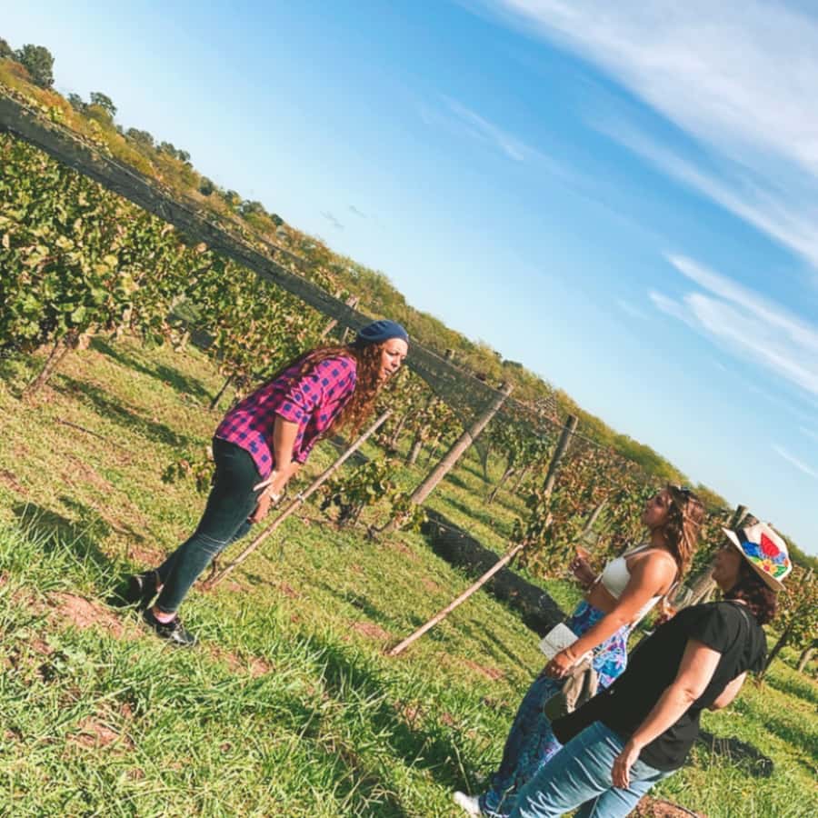 Enjoy a Rural Experience in a Vineyard near Buenos Aires - The drive to Casa Gamboa (Campana): what you should plan for