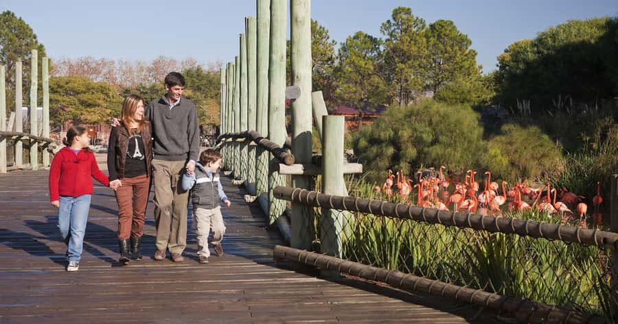 From Buenos Aires: Full-Day Temaiken Eco Park - Key things I’d pay attention to before you go