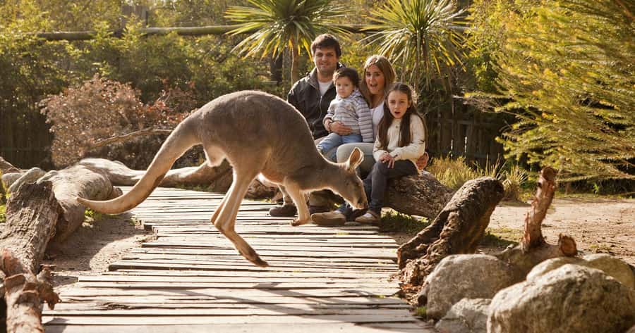 From Buenos Aires: Full-Day Temaiken Eco Park - Your 6 hours inside Temaiken Eco Park: how to pace it