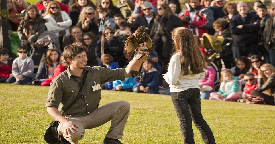 From Buenos Aires: Full-Day Temaiken Eco Park - Price and logistics: does $150 per person make sense?