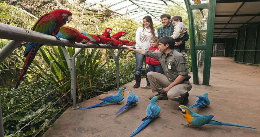 From Buenos Aires: Full-Day Temaiken Eco Park - Who this day trip fits best