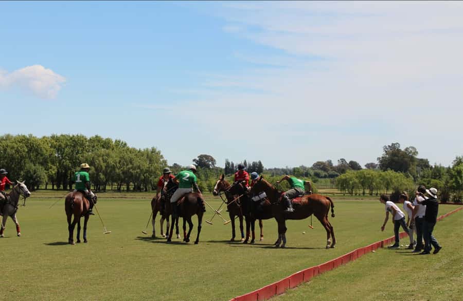 From Buenos Aires: Polo Match, Lesson, and BBQ Day-Trip - Key Polo Day Highlights You’ll Feel Immediately