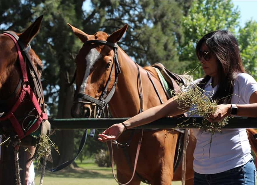 From Buenos Aires: Polo Match, Lesson, and BBQ Day-Trip - Leaving Buenos Aires Province: the 80km Estancia Day That Actually Feels Like an Event