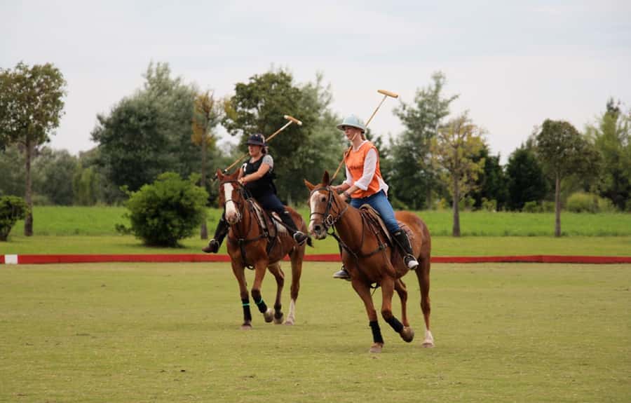 From Buenos Aires: Polo Match, Lesson, and BBQ Day-Trip - The Pro Polo Match: How Chukkas Make Sense When Someone Explains Them