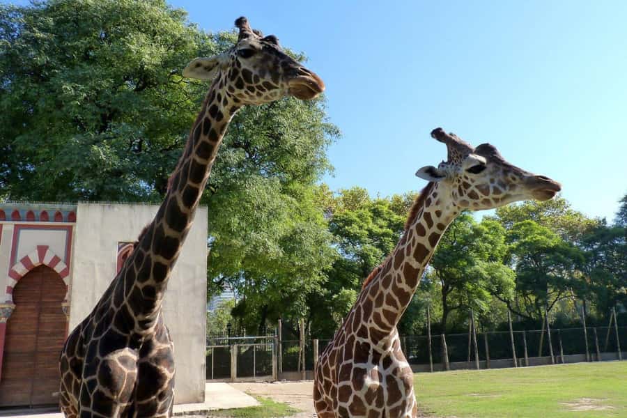 From Buenos Aires: Temaiken Zoo Tour with Ticket Included - Key highlights worth your time