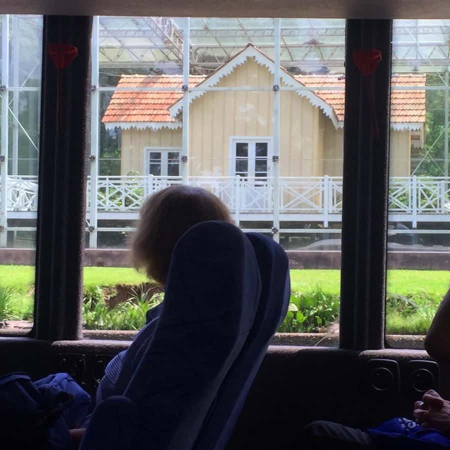 From Buenos Aires: Tigre & Delta with Sailing Premium Tour - Tigre’s historical center and the “on-the-move” city story