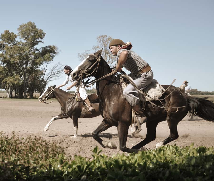 Full-Day at Santa Susana Ranch with BBQ, Drinks and Show - BBQ lunch plus tango and folklore: where culture meets your plate