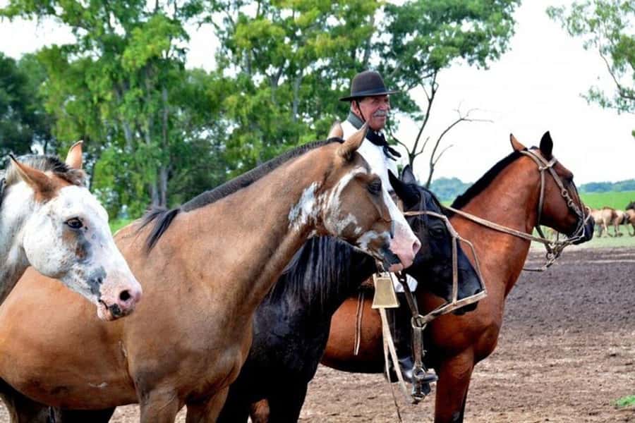 Full-Day at Santa Susana Ranch with BBQ, Drinks and Show - Mate, pastries, and the Puerto Madero river view: the afternoon and the send-off