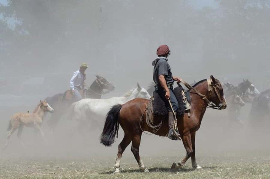 Full-Day at Santa Susana Ranch with BBQ, Drinks and Show - Price and logistics: is $595 worth it for an 8-hour ranch day?