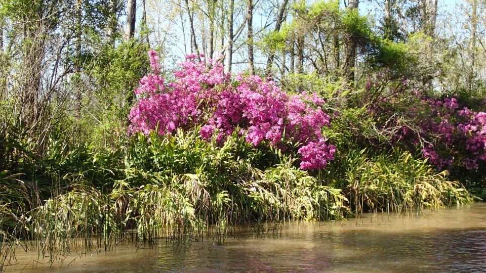 Navigation in Delta of Tigre - Exclusive semi private tour - The boat cruise: wide rivers, canals, and tiny side streams