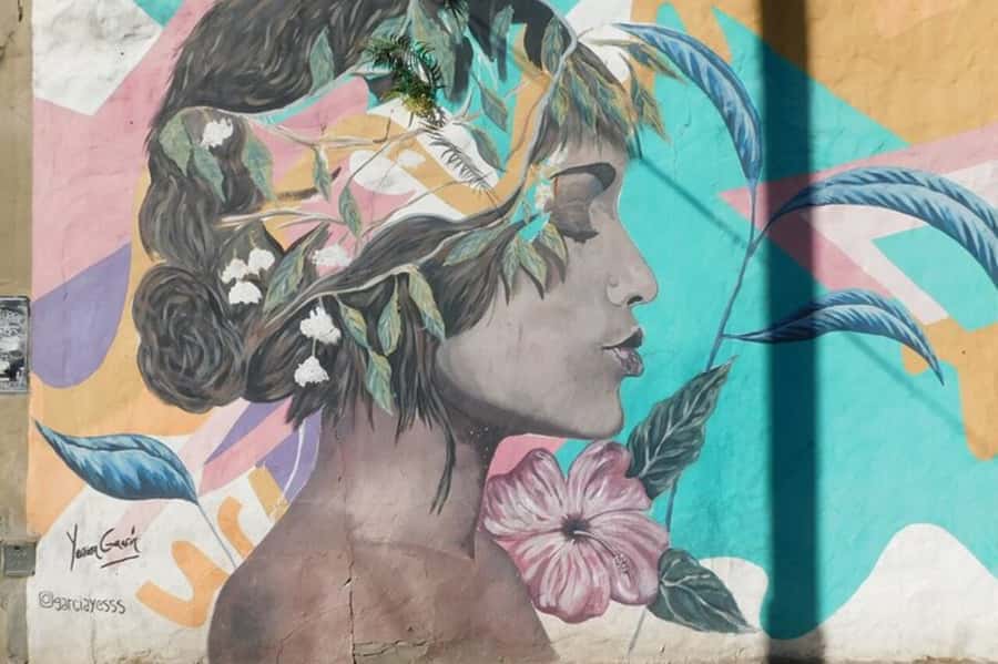 Premium Argentinian Wine and Malbec Tasting & Urban Art Tour - Palermo Soho streets: urban art history you can actually use