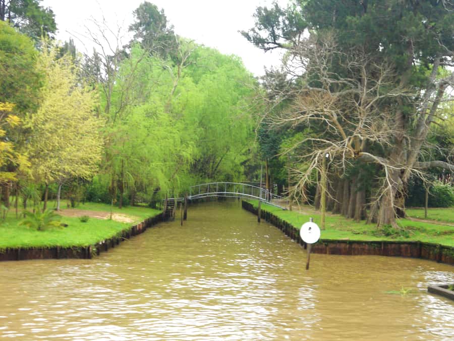 Private Day Trip to Tigre Delta from Buenos Aires - Guides and service quality: what the best ones do