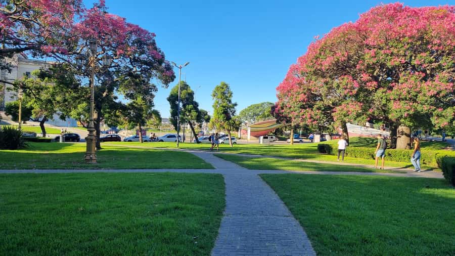 Recoleta Walking Tour and Live Jazz Show - Iglesia del Pilar and Recoleta’s quiet landmarks