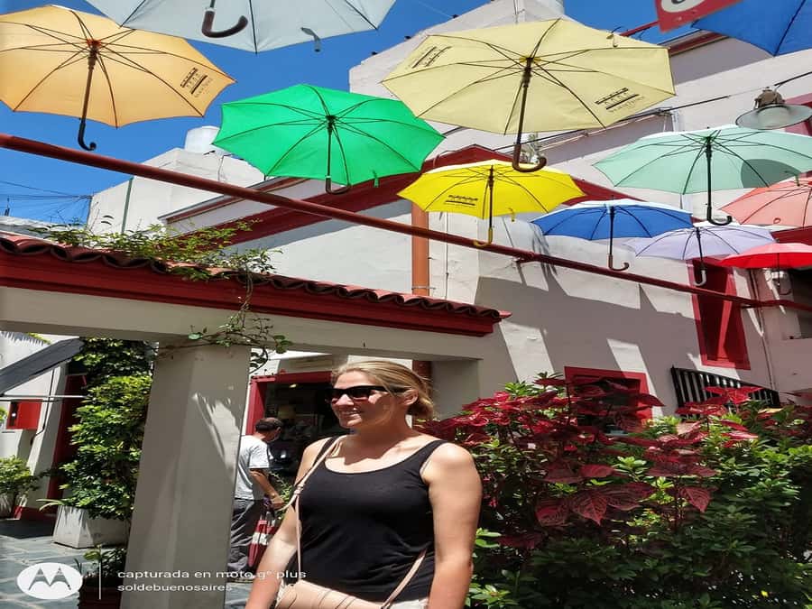 San Telmo Private Guided amazing Walking Tour - San Telmo, where tango rhythms meet small-street exploring