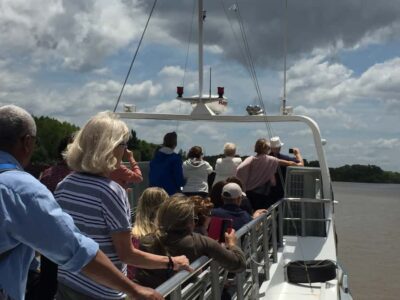 Tigre Delta: Half-Day Tour and Boat Trip - Riding out along Costanera Avenue to San Isidro