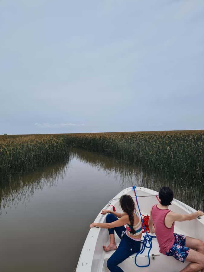 Tigre: Safari Náutico en Tigre/ Biosphere Reserve Boat Tour - Key points at a glance