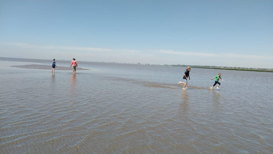 Tigre: Safari Náutico en Tigre/ Biosphere Reserve Boat Tour - Wildlife watch: birds as the sure bet, bigger sightings as a bonus