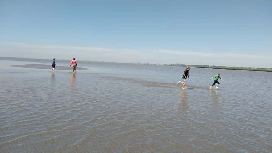 Tigre: Safari Náutico en Tigre/ Biosphere Reserve Boat Tour - Delta Terra and small “land-and-water” moments